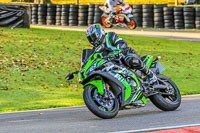 Lower Group Green Bikes